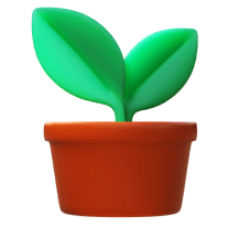 Holistic Student Development